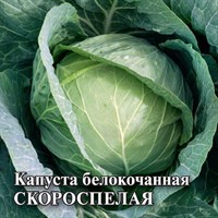 Капуста белокоч. Скороспелая 25 г (ранняя) DH 1071862936