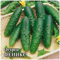 Огурец Феникс  25,0 г 10005439