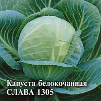 Капуста белокоч. Слава 1305 10,0 г для квашения 1026996740