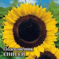 Подсолнечник Енисей 100 г 1999944129