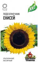 Подсолнечник Енисей 5 г ХИТ х3 1999945614