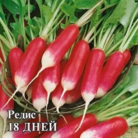 Редис 18 дней 100,0 г 1999944134