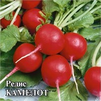 Редис Камелот 50,0 г 10008356