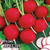 Редис Престо 25,0 г 1026996803