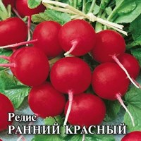 Редис Ранний красный 25,0 г 1026996804