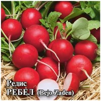 Редис Ребел 25,0 г (Бейо) 1999944478