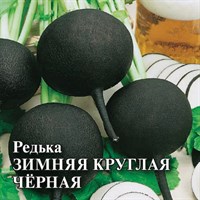 Редька Зимняя круглая чёрная 100,0 г 1999944103