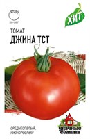 Томат Джина ТСТ 0,05 г ХИТ х3 1071858437