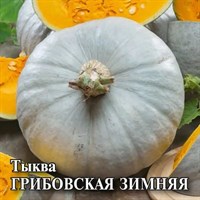 Тыква Грибовская зимняя  25,0 г 10005565