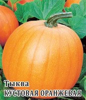 Тыква Кустовая оранжевая  25,0 г 1999945315