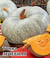 Тыква Лечебная 100,0 г 1999944139