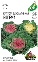 Капуста декоративная Богема * 0,05 г ХИТ х3 DHп 1071858726