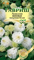 Аквилегия Винки белая, обыкновенная* 5 шт. серия Элитная клумба 10000006