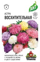 Астра Восхитительная, однолетняя ( махровая смесь) 0,3 г ХИТ х3 10007284