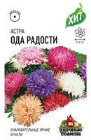 Астра Ода радости, однолетняя (смесь) 0,2 г ХИТ х3 1999949133