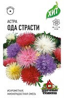 Астра Ода страсти, однолетняя, (игольчатая) смесь 0,2 г ХИТ х3 1999949135