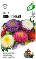 Астра Помпонная, однолетняя (смесь) 0,2 г ХИТ х3 1999949137