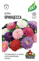 Астра Принцесса, однолетняя (смесь) 0,2 г ХИТ х3 DH 1999949139