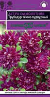 Астра Трубадур темно-пурпурный, однолетняя 0,05 г серия Эксклюзив Н22 1071853885