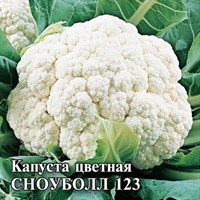 Капуста цветная Сноуболл 123  10,0 г 1026996748