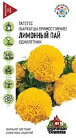 Бархатцы пр. Лимонный пай (Тагетес) 0,1 г Уд. с. DH 10006918