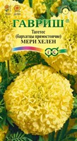 Бархатцы пр. Мери Хелен (Тагетес) 0,3 г DH 10006580