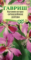 Баухиния Орхидейное дерево (пурпурная) 3 шт. 1912236097