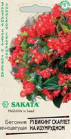 Бегония Викинг Скарлет на изумрудном F1, гибрид. гранул. 4 шт. проб. Саката сер. Элитная клумба Н21 1070735