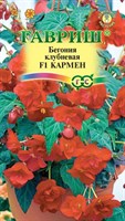 Бегония Кармен F1 клубневая, амп. гранул. 5 шт. пробирка 4602063