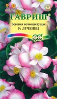 Бегония Лученец F1 вечноцв. гранул. 4 шт. пробирка 1071857201