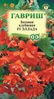 Бегония Эллада F1 клубневая, амп. гранул. 4 шт. пробирка 1071857241