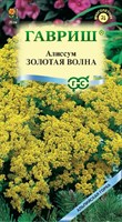 Бурачок скальный (Алиссум) Золотая волна, скальный* 0,1 г сер. Альпийская горка 00003255