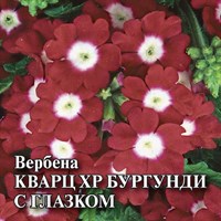 Вербена Кварц- XP Бургунди с глазком, гибридная 100  шт.* сер. Профи 1071857123