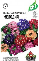 Вербена Мелодия*, гибридная (смесь) 0,05 г ХИТ х3 1999949143