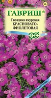 Гвоздика амурская, Красновато-фиолетовая* 0,02 г  серия Альпийская горка DH 1071857769