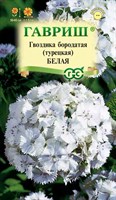 Гвоздика бородатая (турецкая) Белая 0,1 г DH 1071857771