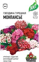 Гвоздика бородатая (турецкая) Монпансье, смесь 0,1 г ХИТ х3 1999949115