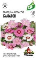 Гвоздика перистая Балатон, смесь 0,05 г ХИТ х3 DH 1999949124