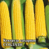 Кукуруза Соблазн F1 сахарная 100,0 г 1026996753