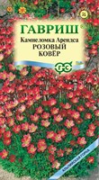 Камнеломка Арендса Розовый ковер* 0,01 г 10006690