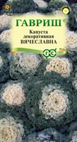 Капуста декоративная Вячеславна* 0,05 г (воронежская белая) DH 1071858725