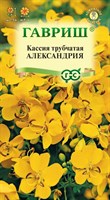 Кассия Александрия, трубчатая 3 шт. 1999943534