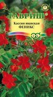 Кассия Феникс, яванская 3 шт. 1999943533