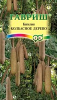 Кигелия Колбасное дерево 3 шт. 004967