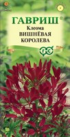 Клеома Вишневая королева 0,3 г DH 10001672