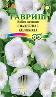 Кобея лазящая Свадебные колокола 5 шт. 4601908