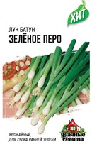 Лук батун Зеленое перо, на зелень 0,5 г ХИТ х3 10006405