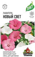 Лаватера Новый свет, смесь 0,3 г ХИТ х3 1999947169