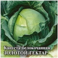 Капуста белокоч. Золотой гектар 1432 25,0 г ранняя 1999944120