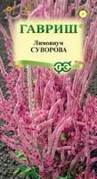 Лимониум Суворова розовый*  0,01 г 001787